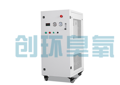 牡丹江石斑鱼养殖水质调控完整指南:臭氧发生器配置与操作步骤