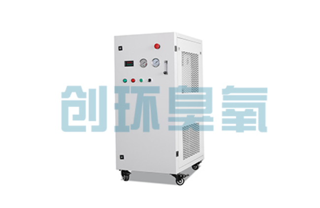 牡丹江比传统换水更高效?臭氧发生器在石斑鱼养殖中的水质净化原理解析