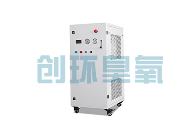 牡丹江比传统换水更高效?臭氧发生器在石斑鱼养殖中的水质净化原理解析